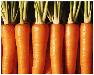 энциклопедия для детей: овощи. Морковь